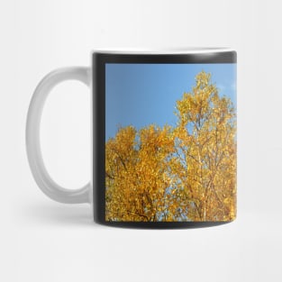 Aspen in Autumn Mug